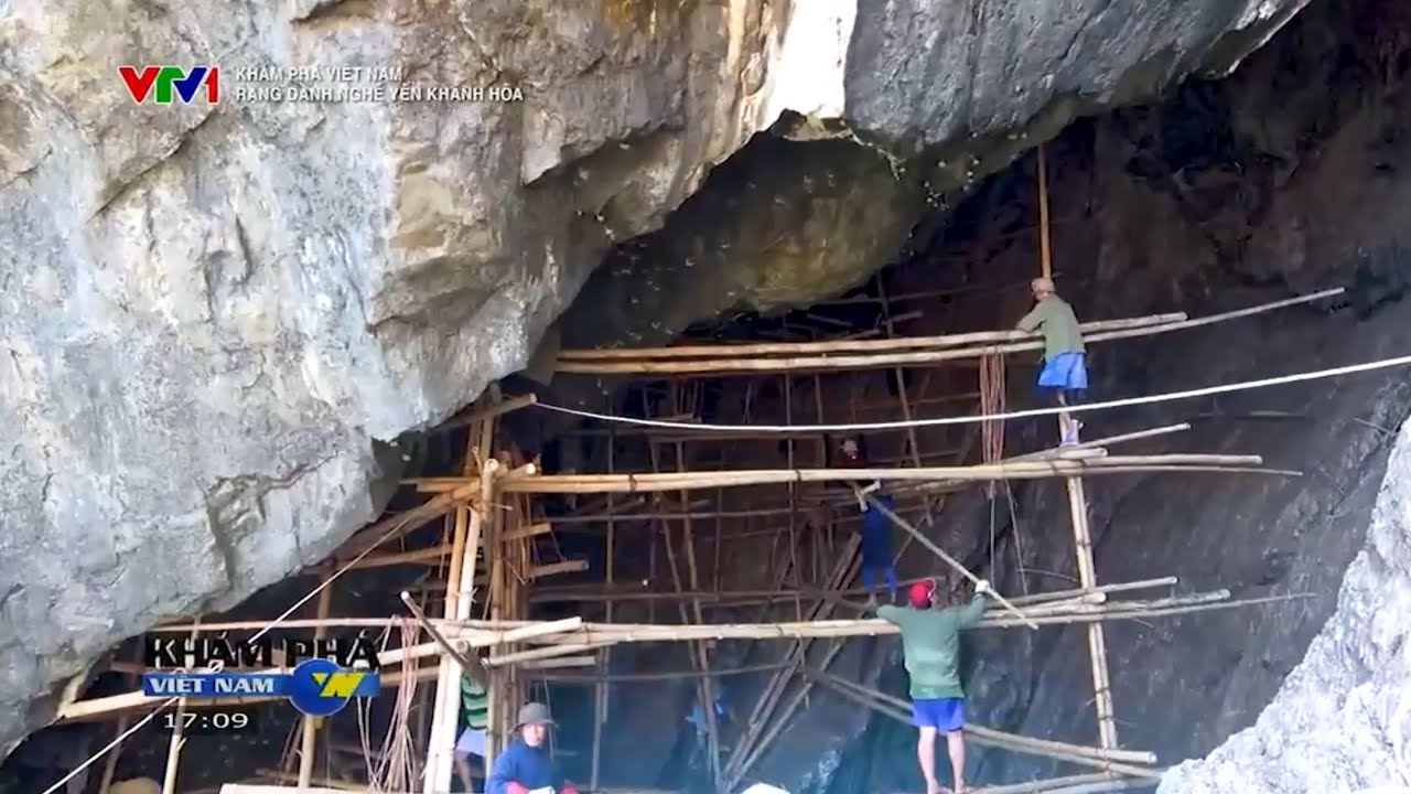 🎊️🎊 Khám phá Việt Nam: Rạng danh nghề yến Khánh Hòa [VTV1]